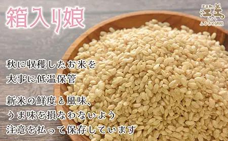 【令和8年産　新米予約：10月より順次発送】《定期便5か月》契約農家栽培 江差追分米『ななつぼし』【5kg×5回】令和8年産　2026年産　北海道江差町産　北海道米　白米　精米　お米　おこめ　こめ　ご
