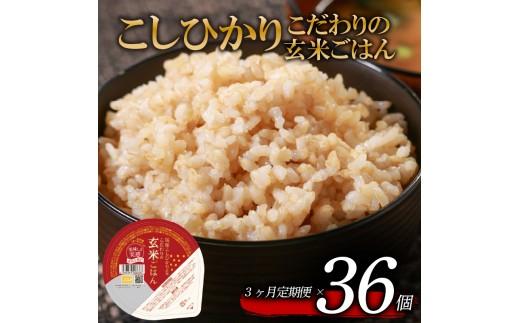 定期便 3回 こしひかり 玄米ごはんパック 120g 36個 玄米 米 お米 ごはん ご飯 こめ パックライス パックご飯 パックごはん ご飯パック ごはんパック パック ライス 備蓄 保存 非常 防