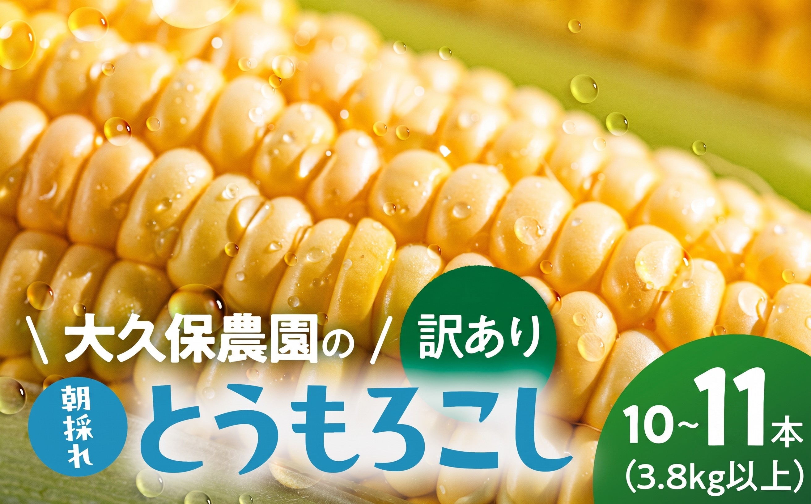 
                  ＜先行予約＞ 朝採り とうもろこし 訳ありも選べる 10本～11本 訳あり とうもろこし 冷蔵 糖度 フルーツ くらい 甘い 田原市 トウモロコシ コーン おやつ スイーツ コーンスープ にも 事前予約 旬 夏 初夏 野菜 やさい
                