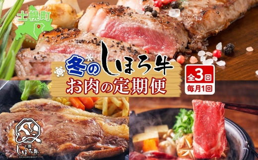 ■定期便■ 北海道 しほろ牛 冬の定期便 全3回 牛肉 サーロイン ステーキ リブロース 肉 牛 赤身肉 国産牛 肉 ビーフ 牛肉 焼肉 冷凍 お取り寄せ 頒布会 送料無料 十勝 士幌町 75000円 【X21】