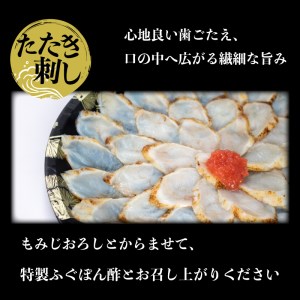 とらふぐ 天然真ふぐ たたき 刺身 3人前セット 冷凍 お刺し身 フグ ギフト AU