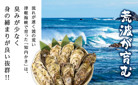 【2025年3月中旬以降発送】海峡育ち 殻付き牡蠣 10個入り カキナイフ付＜上磯郡漁業協同組合＞ 生牡蠣 かき カキ 貝 海鮮 北海道産牡蠣 カキ 北海道 牡蠣 ふるさと納税牡蠣 牡蠣 産地直送