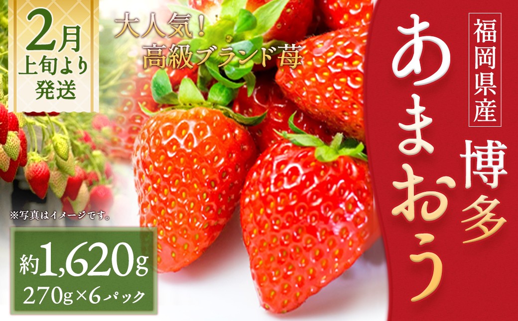 
                  いちご 「あまおう」 約270g×6パック 計約1620g 苺 イチゴ 果物 フルーツ 【2027年2月上旬～2027年3月下旬順次発送予定】
                