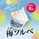 【ふるさと納税】gelateria gattino 安中市秋間梅林の梅ソルベ (シャーベット) 8個 /ANBB004 シャーベット ソルベ 梅 アイス 梅アイスアイスクリーム スイーツ ふるさと 人気