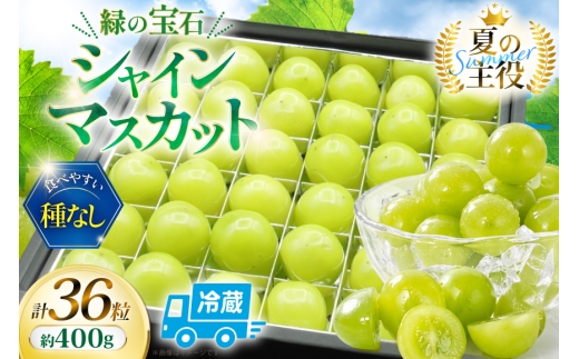 【2026年発送】 シャインマスカット 先行予約 ひと口 BOX 36粒入り 約 400g [REGALO 山梨県 韮崎市 20745497] シャイン マスカット ブドウ ぶどう 葡萄 フルーツ 果物 くだもの  旬 山梨 ギフト 贈り物 フルーツギフト 贅沢 ご褒美 ふるさと納税