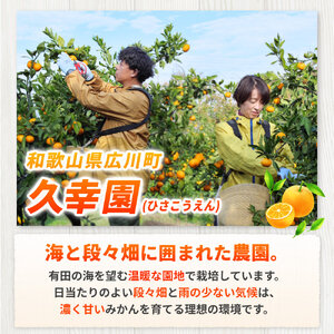 ちっちゃい 有田 みかん 5kg 久幸園 / 温州みかん 有田みかん 甘い 小玉 和歌山 柑橘 ※2026年11月～2027年1月下旬に順次発送【hsk004-s-5A】