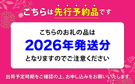 先行予約 晩生種（川中島白桃、さくら、ゆうぞら等）2kg 令和8年度 福島県産 白桃 菊地果樹園