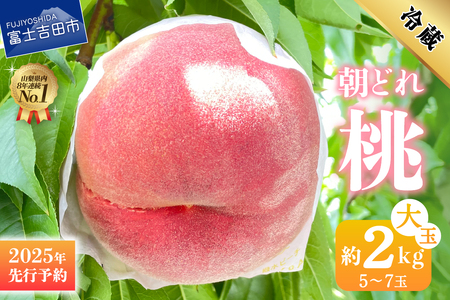 【2025年先行予約】山梨 の 朝どれ 桃 2kg　大玉5玉～7玉 もも 山梨桃 桃 もも 大玉桃 桃 果物 もも フルーツ 桃 旬 大玉 桃 山梨 富士吉田市