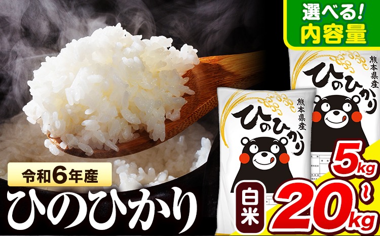 令和6年産  ひのひかり 白米 5kg 10kg 15kg 20kg 《7-14日以内に出荷予定(土日祝除く)》 熊本県産 白米 精米 氷川町 ひの 送料無料 ヒノヒカリ コメ 便利 ブランド米 お米 おこめ 熊本 SDGs---hkw_hn6_wx_r7_15000_5kg_h---