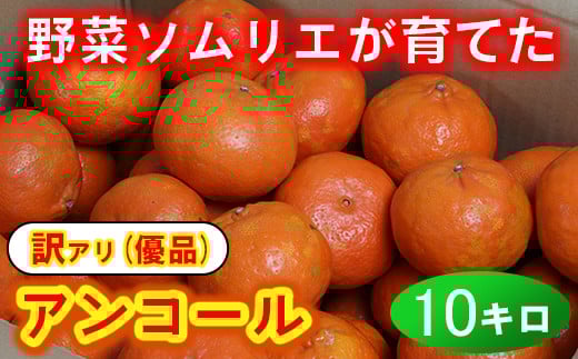 【訳あり・優品】野菜ソムリエ石児さんの「アンコール 10kg」 ミカン みかん 蜜柑 柑橘 10kg 訳あり 甘い 柑橘類 アンコール アンコールオレンジ フルーツ 先行予約 ＜103-020＞