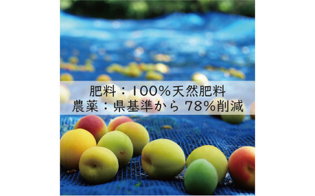 訳あり 無添加 梅干し 紀州梅香の減塩3%つぶれ梅 約1kg(500g x 2) 中~大粒 はねだし梅 紀州南高梅 産直) 3-G［KU3］baiko005