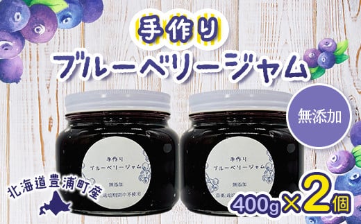 北海道 豊浦町産 無添加手作り ブルーベリージャム400g×2個 【ふるさと納税 人気 おすすめ ランキング 果物 ブルーベリー 国産ブルーベリー ブルーベリージャム 手作り 無添加 大容量 おいしい 美味しい あまい ジューシー 北海道 豊浦町 送料無料】 TYUS018