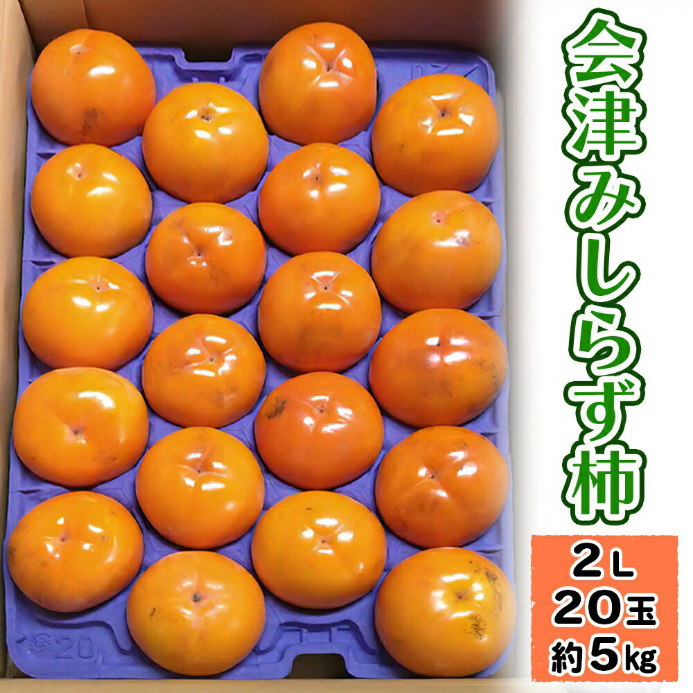 【ふるさと納税】会津みしらず柿 2Lサイズ 20玉 (約5kg) 会津若松市御山産 小山柿農園 ｜2025年産 令和7年産 みしらず柿 身しらず柿 種無し 柿 かき カキ フルーツ 果物 旬の果物 産直 会津産 数量限定 [1028]