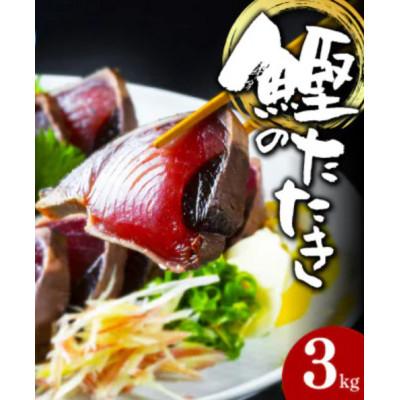 ふるさと納税 高知市 大満足!カツオたたき約3.0kg【BX038】