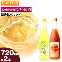 【ふるさと納税】紀州完熟南高梅 ねりうめ酒 じゃばら酒 飲み比べセット 720ml×2本 厳選館 《90日以内に出荷(土日祝除く)》 和歌山県 日高川町 酒 飲み比べ 1440ml