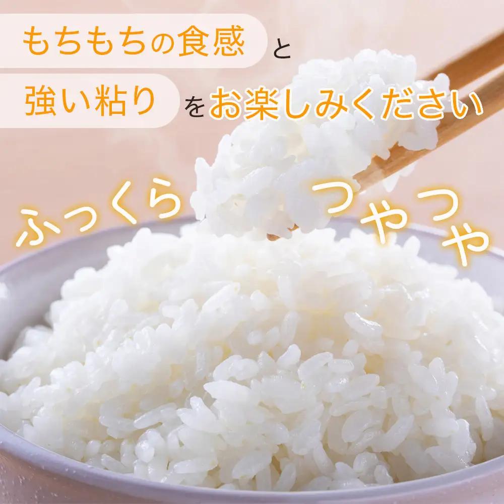 【R7年産 米 】多良木町産 にこまる 5kg 均ちゃん農園 令和7年 精米 熊本県 米どころ 多良木町 白米 ご飯 お米 うるち 米 008-0670