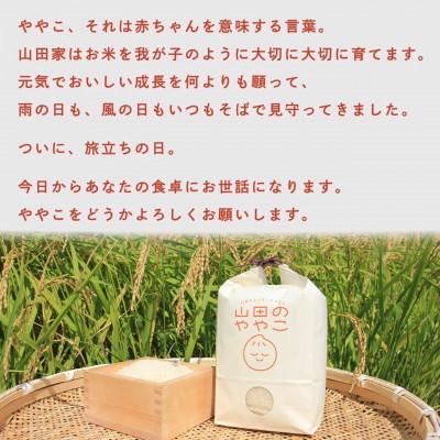 ふるさと納税 龍ケ崎市 令和7年『山田のややこ』特別栽培米コシヒカリ 精米 5kg【茨城県共通返礼品・河内町産】 |  | 01