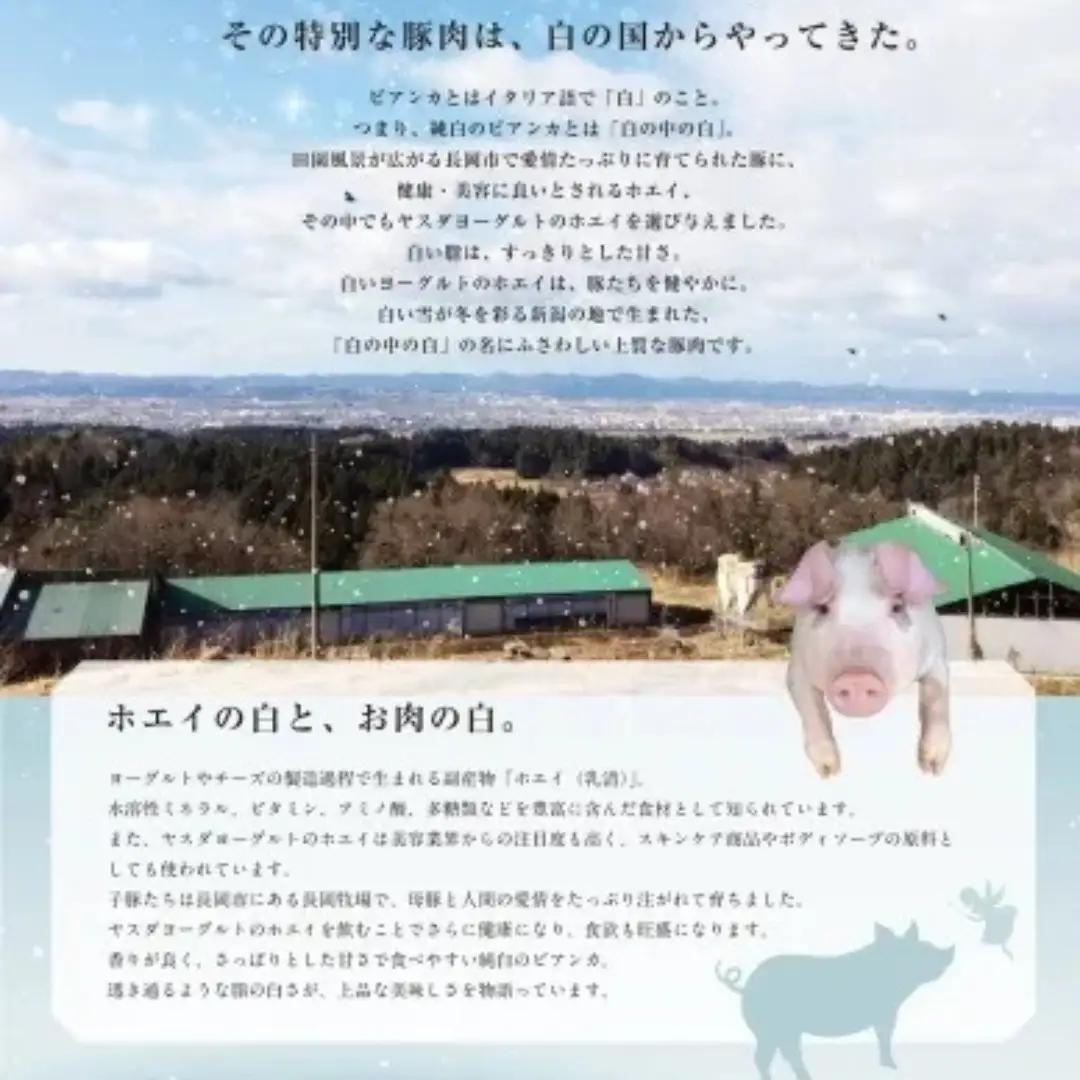 純白のビアンカ 豚バラ焼肉用 800g 豚肉 ぶた ぶた肉 肉 お肉 国産 冷凍 箱入り のし 贈答 ギフト プレゼント お中元 お歳暮 父の日 母の日 敬老の日 焼肉 BBQ 新鮮 新潟県 阿賀野市