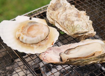 鶴居村 手ぶらでキャンプ海鮮BBQと朝食セット（1名様）(キャンプ アウトドア 2食付き 手ぶらで安心 海鮮 釧路の隣 釧路空港 から近い 北海道 ふるさと納税 ふるなび  ）
