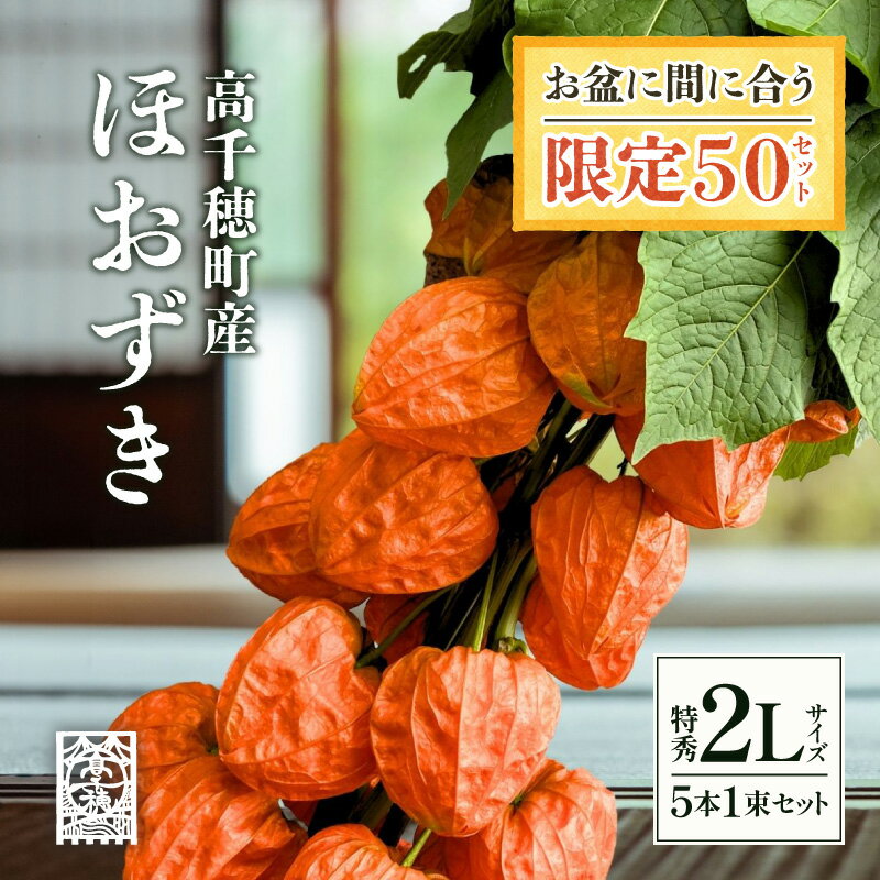【ふるさと納税】P-8 高千穂町産ほおずき 特秀2Lサイズ 5本1束セット 宮崎県 高千穂町 送料無料