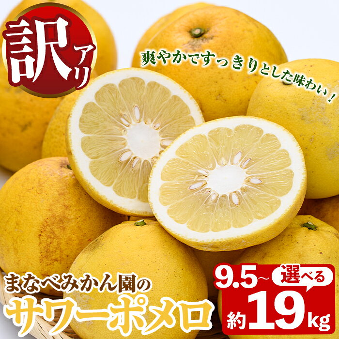 【ふるさと納税】＜先行予約受付中！2027年2月下旬以降順次発送予定＞＜内容量が選べる！＞訳あり！まなべみかん園のサワーポメロ (約9.5～19kg) 国産 鹿児島県産 阿久根市産 柑橘類 果物 フルーツ 数量限定 デザート 訳アリ 【有限会社まなべみかん園】