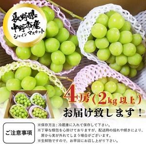 【冷蔵】　長野県　中野市産　シャインマスカット4房(2.0kg以上)【配送不可地域：離島】【1331158】