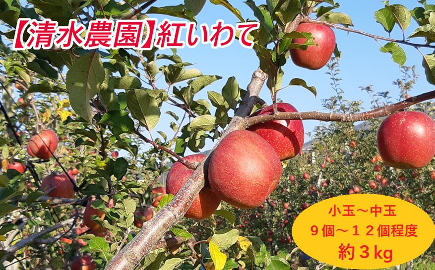 【ふるさと納税】先行予約 フレッシュ りんご 「 紅いわて 」 約3kg 岩手県 オリジナル品種 [ リンゴ 林檎 米崎りんご 果物 フルーツ 旬 期間限定 数量限定 ギフト プレゼント 贈答品 人気 おすすめ お取り寄せ 国産 岩手 陸前高田 清水農園 ] 2025年9月頃から順次発送予定