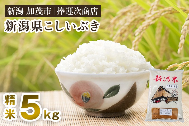 
            【令和7年産新米】新潟県産こしいぶき 精米 5kg 《順次出荷》 コシイブキ 新潟米 お米 白米 ライス ご飯 加茂市 捧運次商店
          
