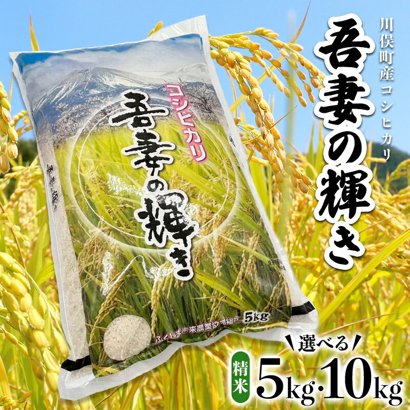 【ふるさと納税】【選べる容量】川俣町産 吾妻の輝き コシヒカリ 5kg 10kg 精米 FAF-0221var