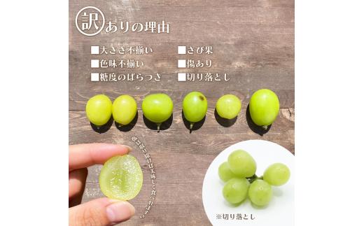 ＜25年発送先行予約＞【訳あり】 シャインマスカット 粒 1kg以上 154-033