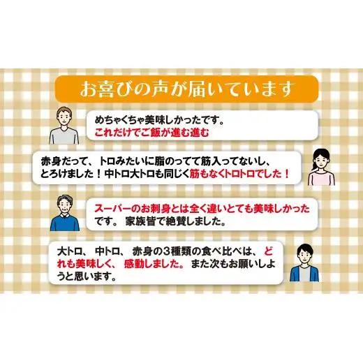 マグロ 【 本マグロ 】 刺身 600g以上 鮪 タレ付き A121p