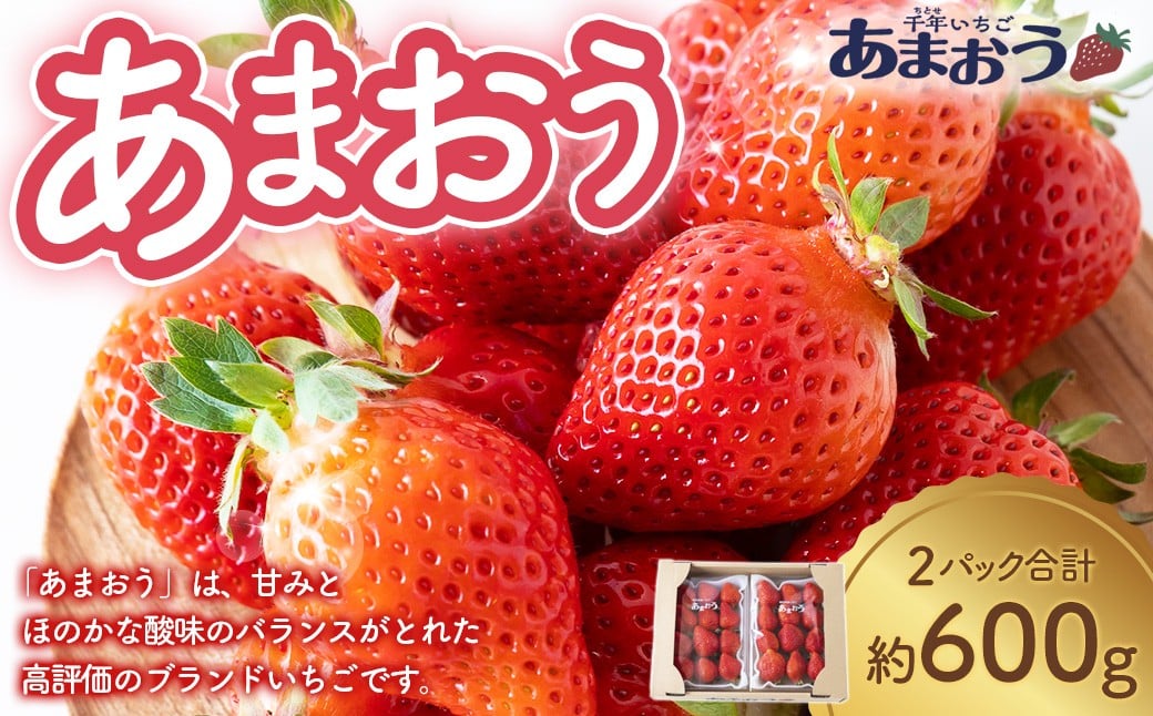 
                  【選べる配送月】千年いちご あまおうイチゴ (300g×2パック)   あまおう いちご イチゴ 苺 フルーツ 果物 冷蔵 送料無料 福岡県 うきは市 
                