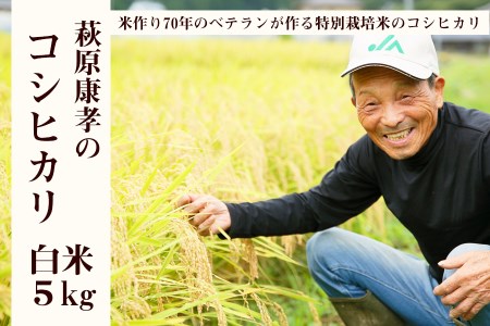 コシヒカリ 令和5年産 特別栽培米 コシヒカリ白米5kg /// 米作り70年の農家が作る特別栽培米コシヒカリ 令和5年産特別栽培米萩原康孝のコシヒカリ白米5㎏新米