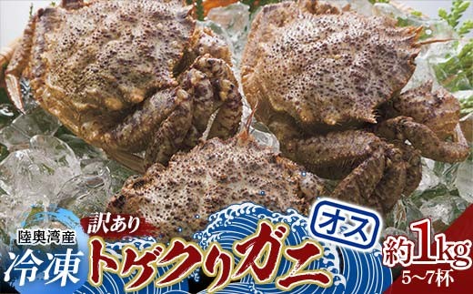 ≪訳あり≫  冷凍 陸奥湾産 トゲクリガニ (オス) 約1kg (５～７杯) 【琉宝丸】 漁師直送 かに カニ 蟹 魚介 東北 青森県 平内町 むつ湾 F21J-324