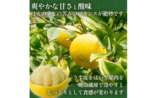 【2025年2月より発送】 高知県産 土佐文旦 贈答用 10kg 優品 時期 土佐 文旦 ぶんたん ブンタン 人気 旬 柑橘 フルーツ 果物 国産 ブランド ビタミン 生産者 産地 高知 須崎 