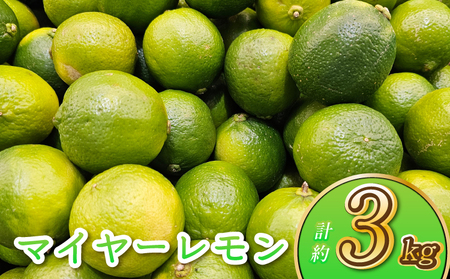 レモン マイヤーレモン 3kg（25玉～30玉） 9月上旬から12月下旬発送予定 れもん 檸檬 ひかる農園