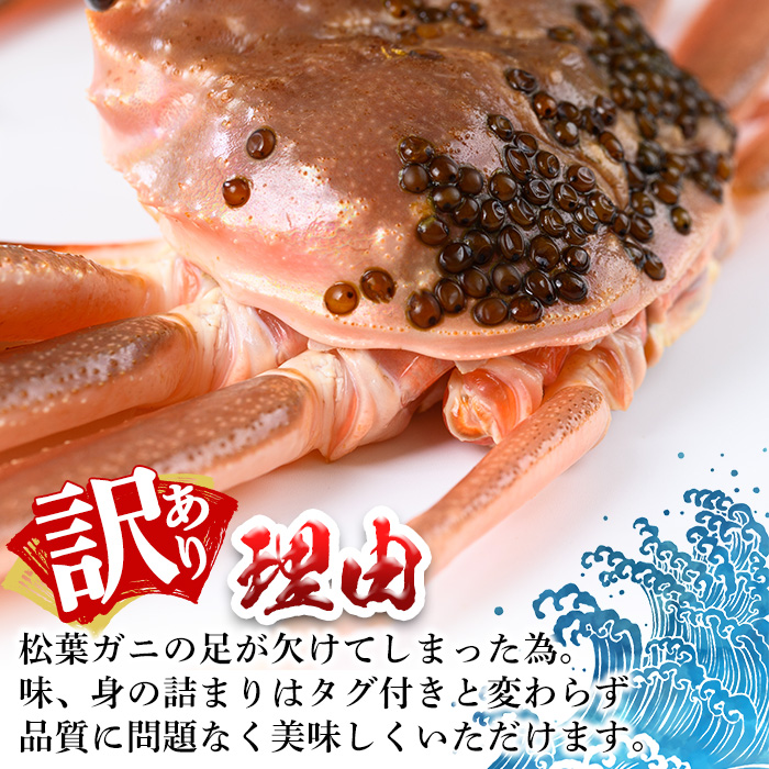 ＜11月中旬～12月上旬配送予定＞＜訳あり・足欠け＞鳥取県産活松葉がに(1kg・2～3枚)【sm-AM007】【モリイ食品】