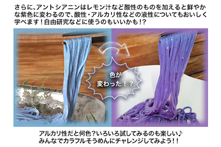そらいろそうめん濃色3個 福永幸山堂