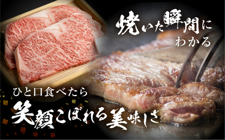 飛騨牛 牛肉 サーロインステーキ 200g×2枚 計400g 大判 ステーキ A4等級以上 のし対応 お中元 お祝い ギフトに JA飛騨 25000円 [S460]