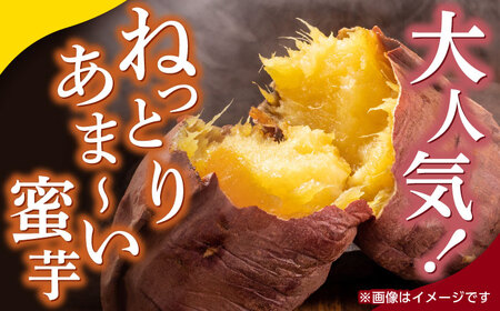 先行予約 熟成紅はるか約10kg サイズバラバラ さつまいも密芋サツマイモ ZCN019