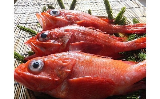 C-72001【12/10まで年内配送】  【北海道根室産】キンキ(下ごしらえ済)×3尾