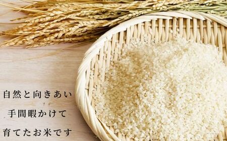 《令和7年産》春の米　精米　5kg ／ 米 お米 こめ コメ ごはん 無農薬 農薬不使用 春の米 精米 白米 令和7年産 新米 5kg 千葉県 東庄町 春子ファーム 産地直送 産直 送料無料