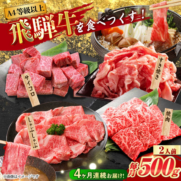 【ふるさと納税】【4回定期便】 飛騨牛を食べつくす！ 飛騨牛 プレミアム 定期便 2人前 ( しゃぶしゃぶ × すき焼き × サイコロステーキ × 焼肉 ) 各500g A4等級以上 多治見市 / 渡辺精肉店 和牛 ブランド牛 牛肉[TAZ046]