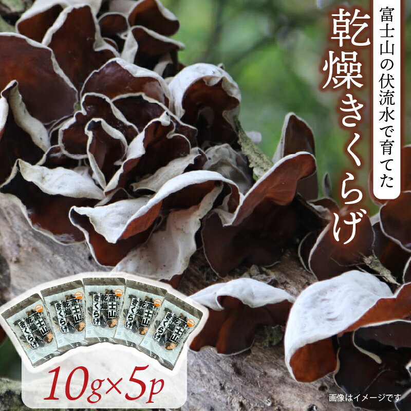 【ふるさと納税】 乾燥 きくらげ 10g×5パック 計50g キクラゲ 木耳 きのこ 中華料理 栄養 食物繊維 健康食品 ビタミンD カルシウム 鉄分 低カロリー ダイエット 美容 レシピ 簡単調理 スープ 炒め物 手軽 保存食 長期保存 沼津市 静岡県