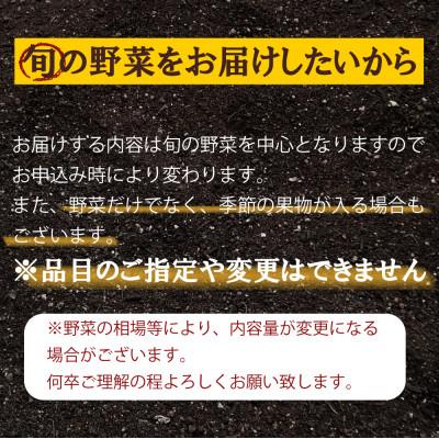 ふるさと納税 南島原市 旬な野菜を出荷します!おまかせ新鮮野菜15種類セット |  | 03