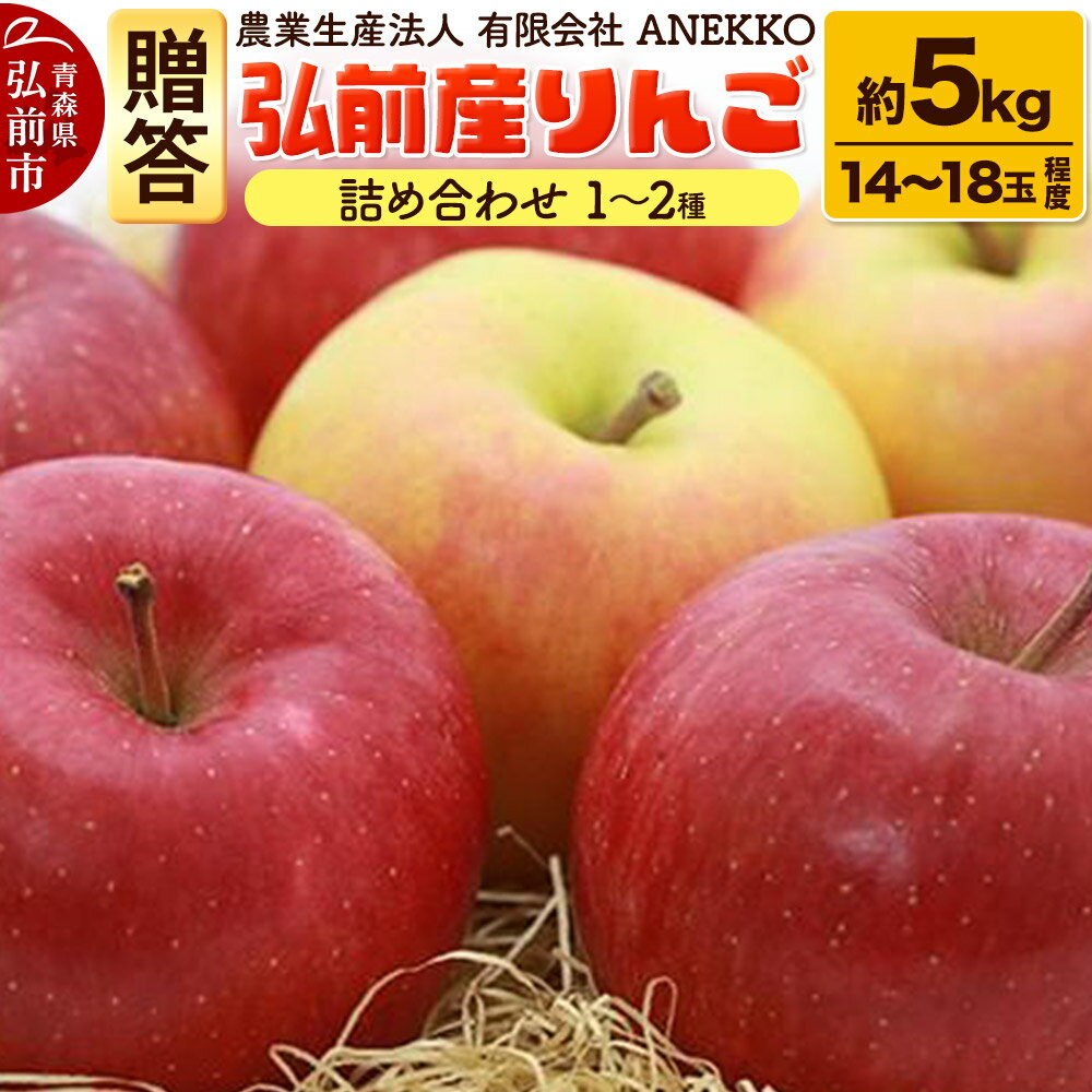 【ふるさと納税】りんご 弘前産りんご 詰め合わせ 1〜2種 贈答規格 約5kg（14〜18個程度）