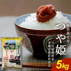 SA2960　令和7年産【精米】 （荘米）特別栽培米 つや姫(万田植物酵素・米糠醗酵肥料使用)　5kg×1袋 《農産物検査員おすすめの庄内米》 SY