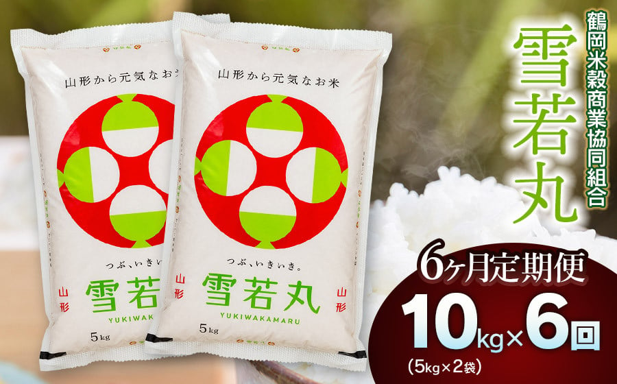 
            【令和6年産】雪若丸10kg（5kg×2）【6回定期便】 山形県庄内産　鶴岡米穀商業協同組合
          