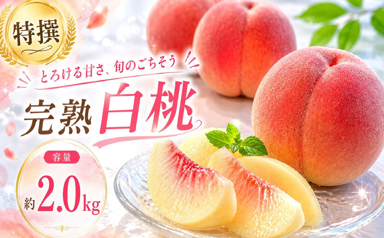 
                  【8月下旬発送】 桃 川中島白桃 特撰 約2.0㎏ 先行予約 盛岡市産 白桃 完熟 もも モモ 果物 くだもの フルーツ 旬 産地直送 農家直送 デザート おやつ 自宅用 詰め合わせ 贈答 ギフト 朝採り 新鮮 甘い 人気 ジューシー ピーチ 夏 2026年 特産品 岩手県 盛岡市 東北 岩手 盛岡 ふじむら農園 fujimura004
                