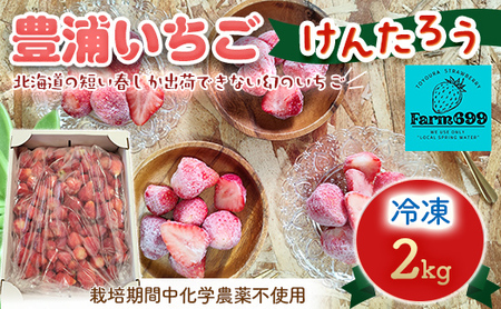 【2025.4月下旬以降出荷】豊浦いちご  冷凍いちご 2kg 【 ふるさと納税 人気 おすすめ ランキング 果物 いちご苺 イチゴ 国産いちご 国産苺 けんたろう セット おいしい 美味しい 北海道 豊浦町 送料無料 】 TYUAH002